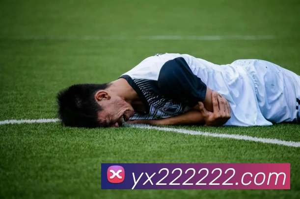 多媒体互动体验